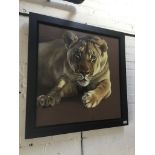 After Darryn Eggleton, "Lioness", giclee canvas print, 75cm x 75cm, signed in pen lower right,