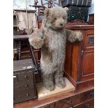 A large soft bear figure on wooden plinth - The Hen House, USA.