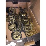 A box of horse brasses.