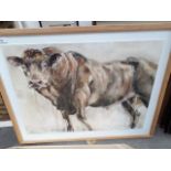 Pat Ellacott (British 20th/21st Century), "Bull 3", watercolour, 86cm x 53cm, monogrammed 'PO' and