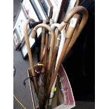 A large collection of walking sticks