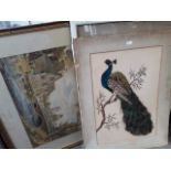 Pair of relief pictures of peacocks (frames loose) and a watercolour by F Mather
