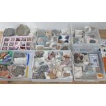 A mineral and fossil collection, also including some shells and volcanic rock samples.