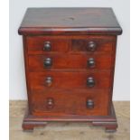 A Victorian miniature "apprentice" chest of drawers in yew wood with turned knobs and ogee bracket