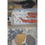 A box of assorted fossils, together with coral specimens and two butterflies.