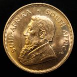 South Africa, 1981 Krugerrand, 1 oz. fine gold (91.67%) ONLY 10% BUYER'S PREMIUM (INCLUSIVE OF