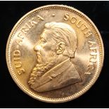 South Africa, 1983 Krugerrand, 1 oz. fine gold (91.67%) ONLY 10% BUYER'S PREMIUM (INCLUSIVE OF