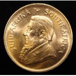 South Africa, 1981 Krugerrand, 1 oz. fine gold (91.67%) ONLY 10% BUYER'S PREMIUM (INCLUSIVE OF