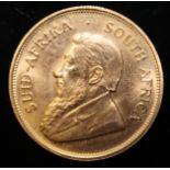 South Africa, 1981 Krugerrand, 1 oz. fine gold (91.67%) ONLY 10% BUYER'S PREMIUM (INCLUSIVE OF