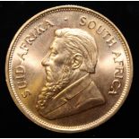 South Africa, 1983 Krugerrand, 1 oz. fine gold (91.67%) ONLY 10% BUYER'S PREMIUM (INCLUSIVE OF