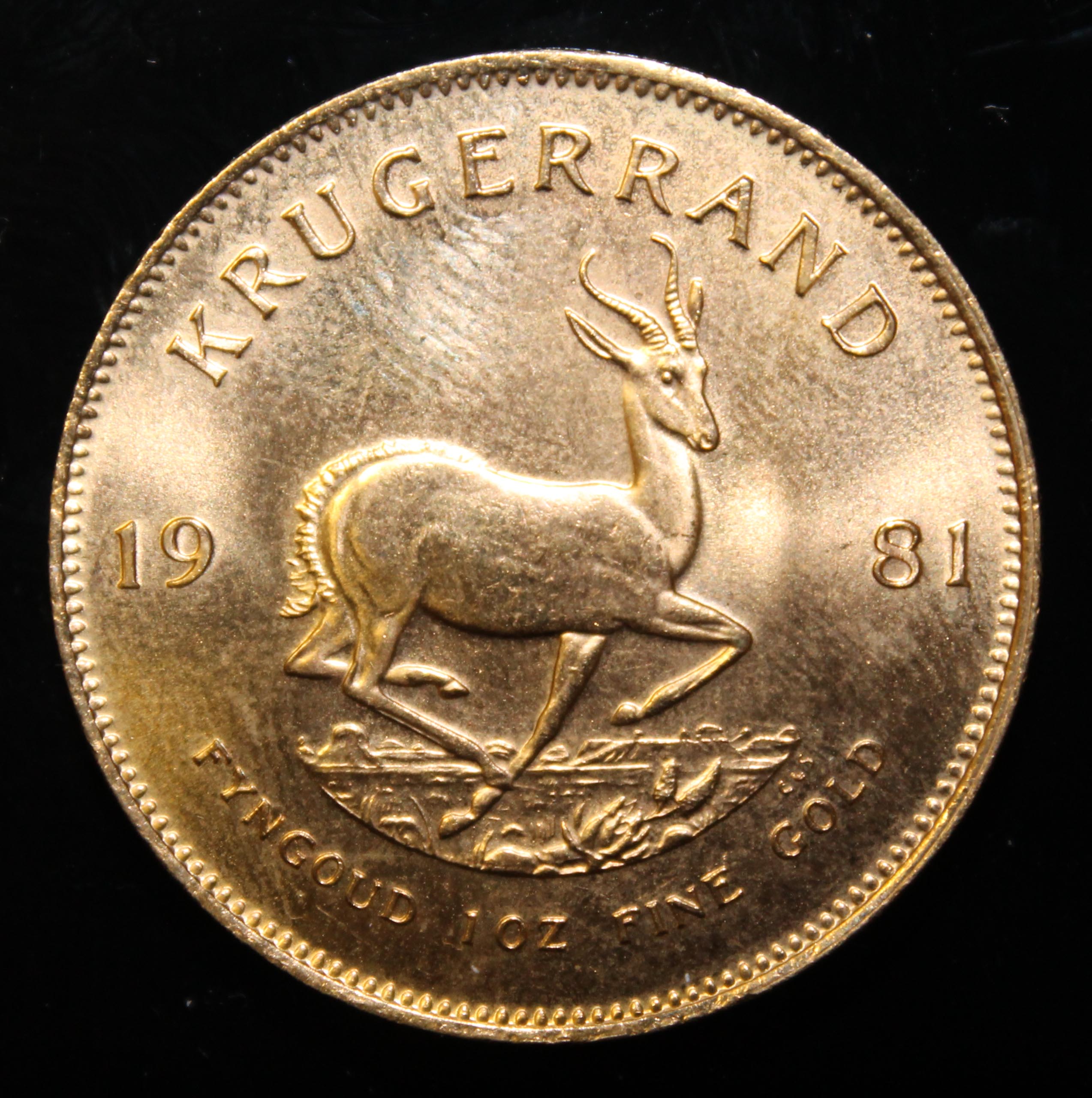 South Africa, 1981 Krugerrand, 1 oz. fine gold (91.67%) ONLY 10% BUYER'S PREMIUM (INCLUSIVE OF - Image 2 of 2