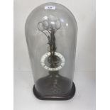 A skeleton clock under glass dome, height 55cm.