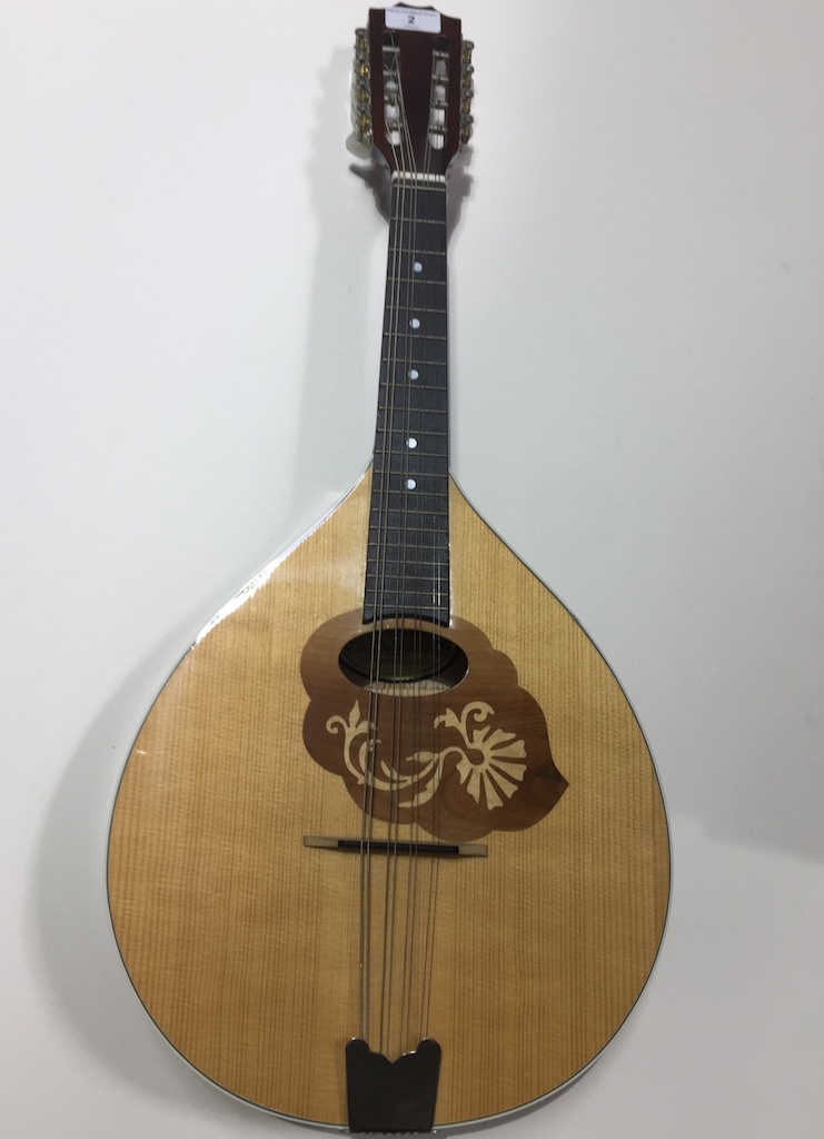 An Ozark mandola with case