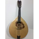 An Ozark mandola with case