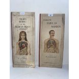 Vintage Philips' anatomical model books of the human body