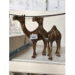 A pair of brass camels