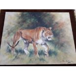 Alan Butterworth, lioness, oil on canvas, 66cm x 51cm, signed lower right, bamboo effect frame