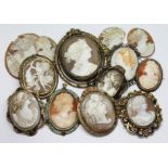 A group of nine shell cameo brooches and a further four loose shell cameos.