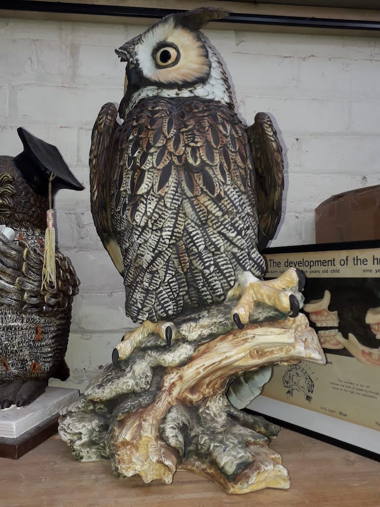 A Large Capodimonte owl statue, height-55cm.