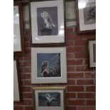 Don Greenhill (Scottish 20th century), four original works depicting owls, sizes ranging from
