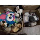 Two boxes of assorted owl soft toys and cushions etc.