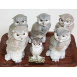 A group of five Nao and one Lladro porcelain owl models.