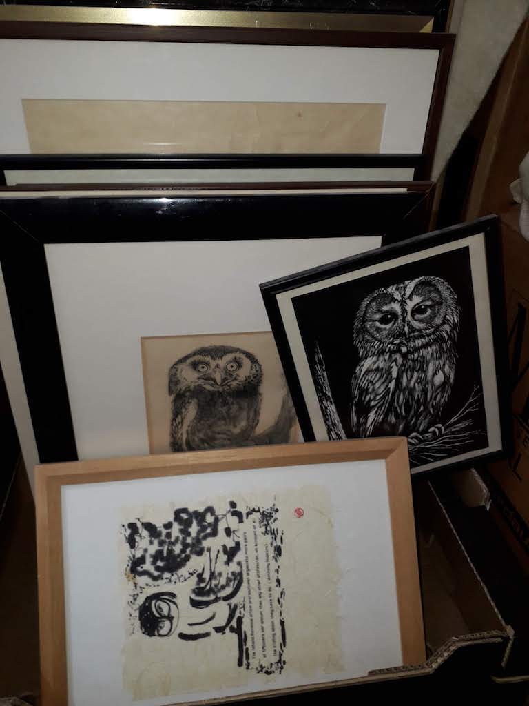 A collection of 10 owl prints of various size