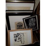 A collection of 10 owl prints of various size