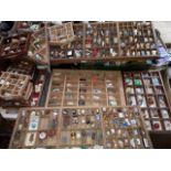 A collection of wooden printing block trays and wooden display cases with contents of assorted