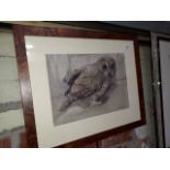 Ralston Gudgeon (Scottish, 1910-1984), study of an owl, watercolour, 34cm x 24cm, signed lower