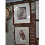Bob Montgomery (Scottish, 20/21st century), two watercolours depicting owls, 24cm x 34cm and 27cm