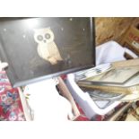 A box of assorted owl trays and a box of assorted owl spoon rests etc.