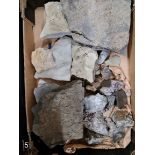 A collection of various minerals, rocks and fossils.
