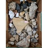 A collection of various minerals, rocks and fossils.