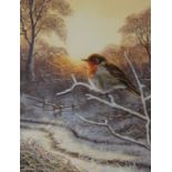 Adrian C Rigby (b1962), winter scene with robin, watercolour, 21cm x 29cm, signed lower left, glazed