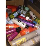 A box of hair care products, L'oreal etc.