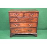 19th century mahogany chest having two short and three long graduated drawers with brass handles