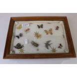 Display case containing vintage and modern brooches including silver & enamel butterfly, bird,