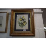 A floral print of flowers mounted in an antique burr maple frame.