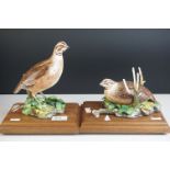 Royal Worcester Porcelain Birds 'Bob-white Quail, male' impressed mark 459 and 'Bob -white Quail,