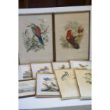 After George Edwards, Set of Five Ornithological / Bird Coloured Engravings published by J Wilkes,