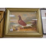 Gilt Framed Oil Painting Study of a Racing Pigeon in a Highland scene