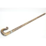 Early 20th century Black Forest Pine Walking Stick with Shepherd Crook Handle