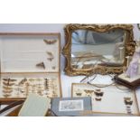 Two wooden cased set of moths and butterflies gilt mirror etc.
