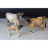 Three Beswick Jersey cattle - a bull marked Dunsley Coy Boy a cow Champion Newton Tinkle and a calf