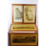 A pair of maple veneer frames with owl prints and two others with hunting scenes.