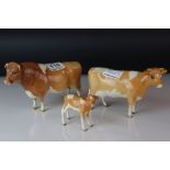 A group of three Beswick Guernsey Cattle to include bull marked Sabrina's Sir Richmond 14th a cow