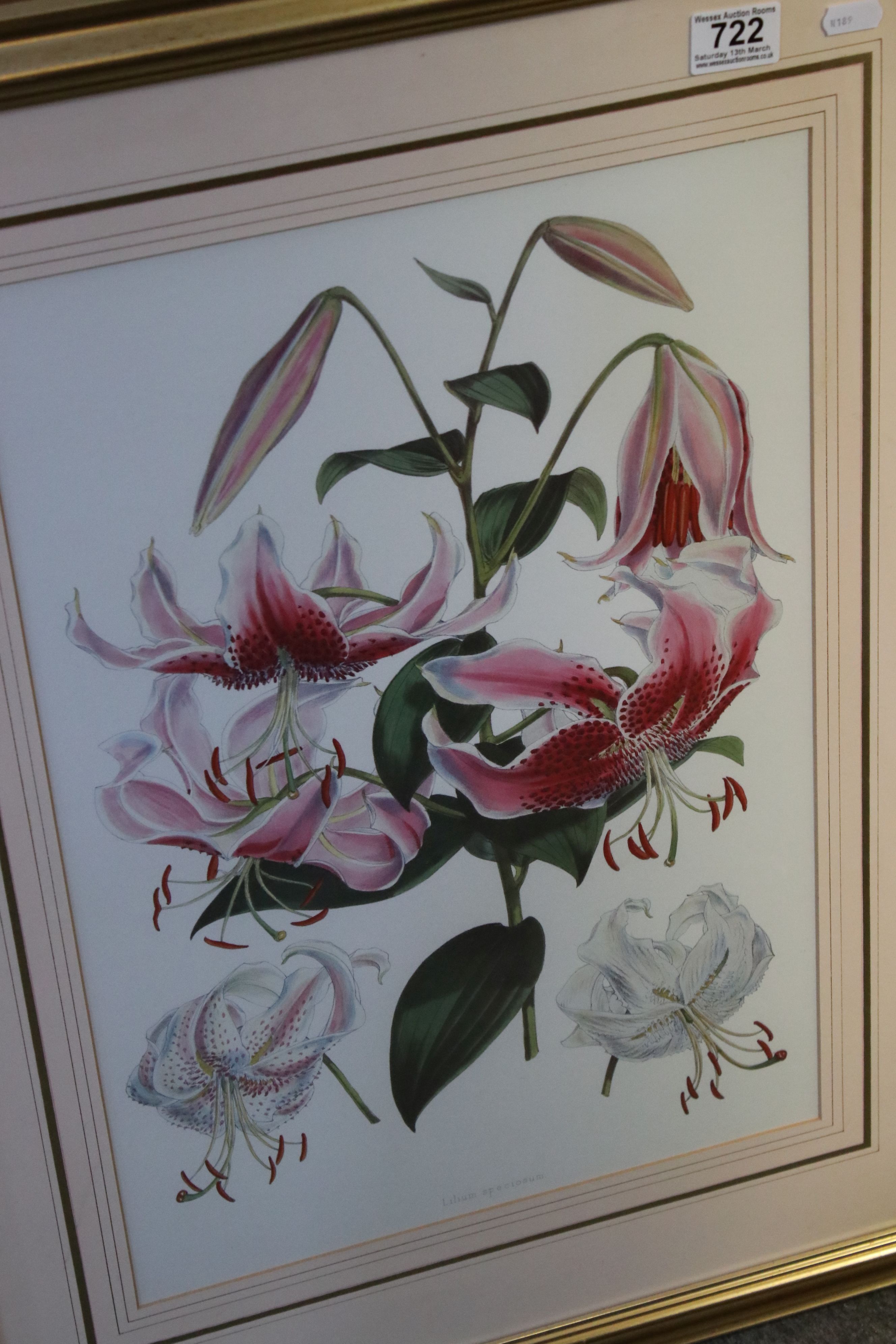 A set of four framed and glazed floral prints and two other similar. - Image 4 of 5