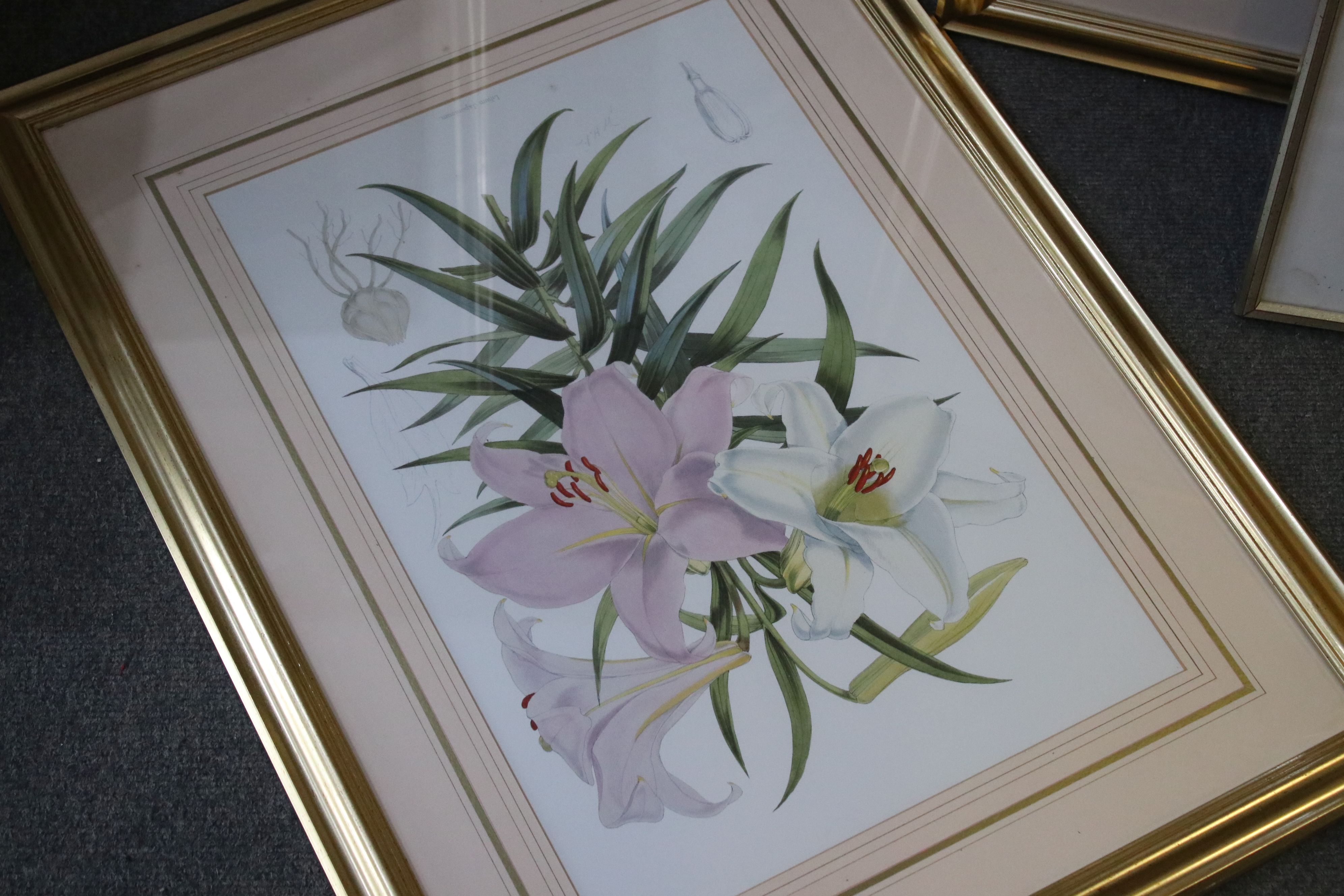 A set of four framed and glazed floral prints and two other similar. - Image 3 of 5