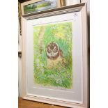 A large framed and glazed limited edition print titled Spectacled Owl in Grass no 4/50